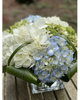 Hydrangea Medley