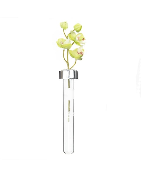 Magnetic Test Tube Vase *