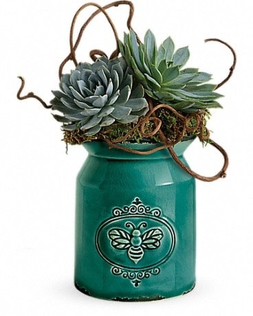 Living Love Garden Plant