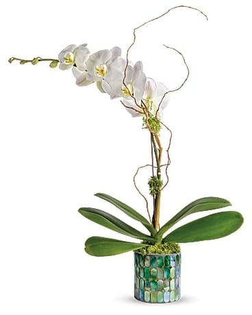 Teleflora's Stained Glass Orchid Flower Arrangement