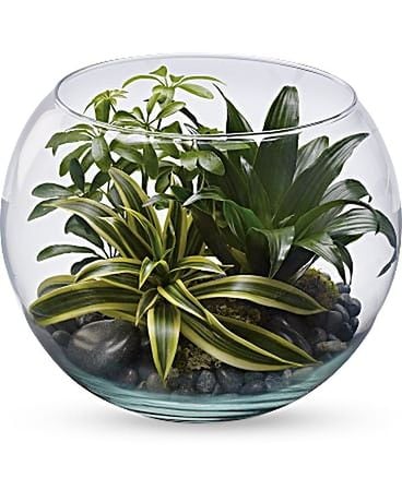 Sphere Of Tranquility Terrarium Flower Arrangement