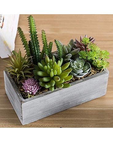 Stylish succulent Flower Arrangement