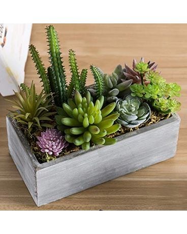 Stylish succulent Flower Arrangement