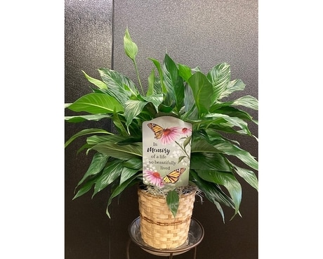 Memory Lilies Sympathy Arrangement