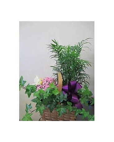 Custom SYM PL 6 Flower Arrangement