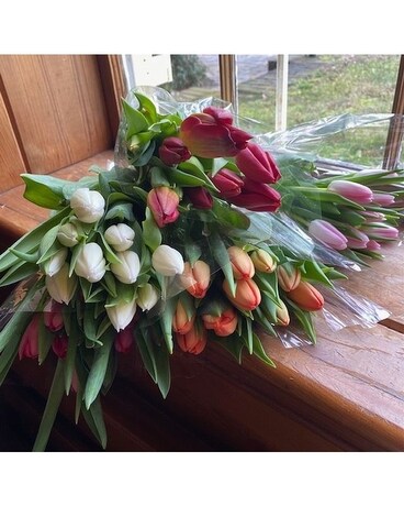Tulips-10 Flower Arrangement