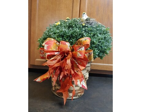 FALL MUM BASKET Custom product