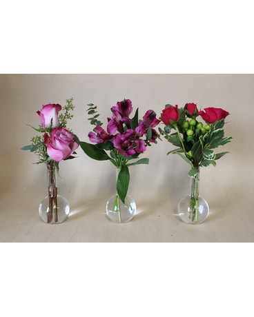 A Floral Flight Flower Arrangement