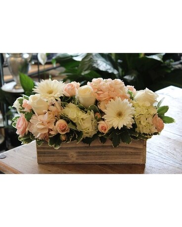 First Blush Flower Arrangement