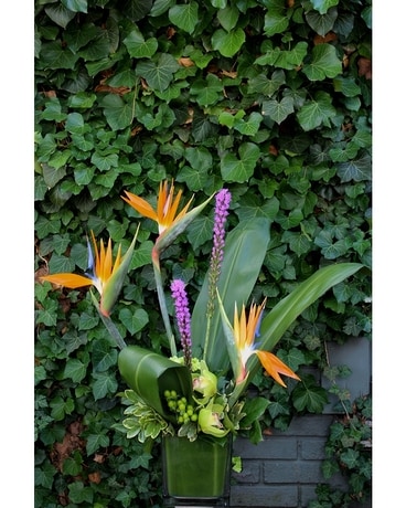 Tropical Serenade Flower Arrangement