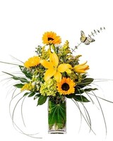 Deluxe size, 24 inches height and 30 inches wide.