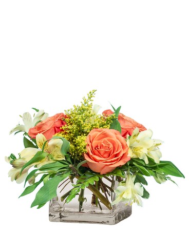 Cube Cutie Flower Arrangement