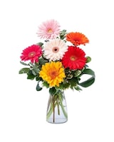 Standard size, 12 inches height and 5 inches wide.