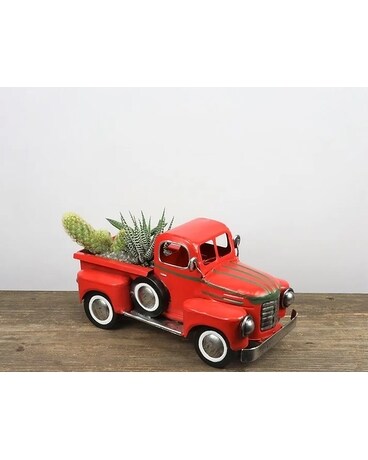 Succulent Truck Plant