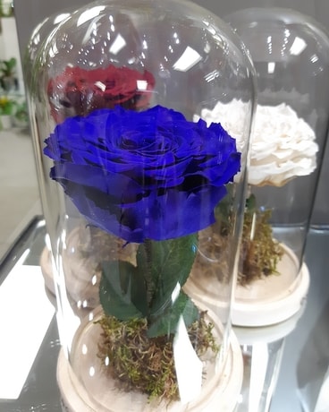 Giant blue Eternal Beauty & Beast Flower Arrangement