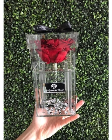 GIANT ETERNAL ROSE ~ Luxury box Flower Arrangement