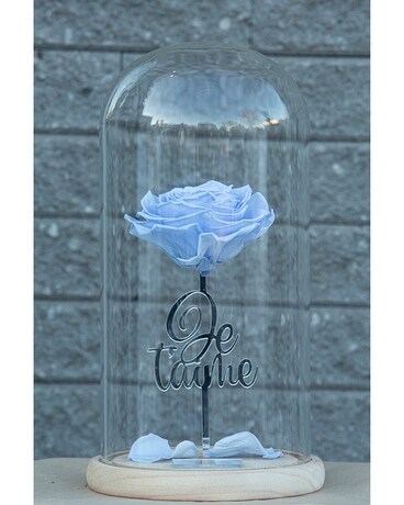 ETERNAL DOME Flower Arrangement