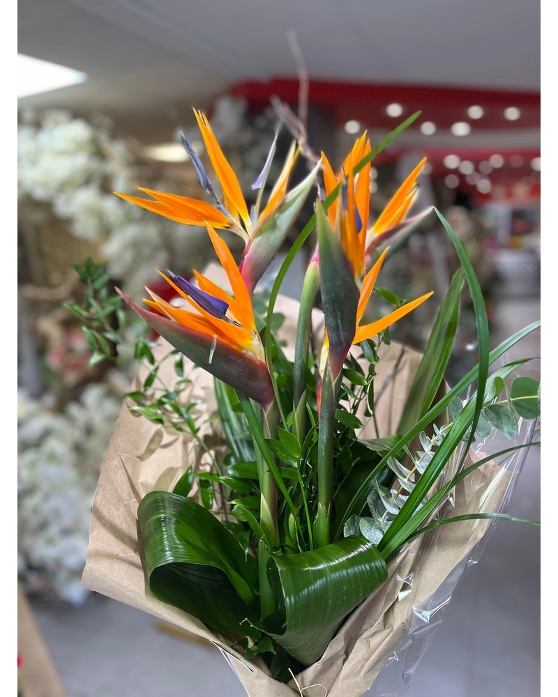 Choisy FLEURS COUPLES 切り花 Fleurs Coupée/Cut Flowers Delivery Laval QC - La Grace des Fleurs
