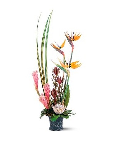 Tropical Paradise Arrangement Flower Arrangement