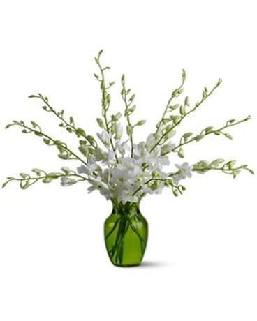 Serenity Orchids Flower Arrangement