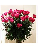 3 Dozen 22 size,  inches height and  inches wide.
