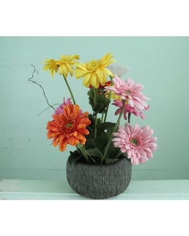 Stylized Silk Gerbers Specialty Arrangement