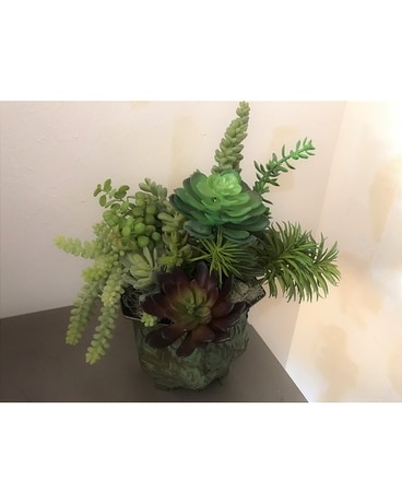 Succulent Permanent Botanical Specialty Arrangement