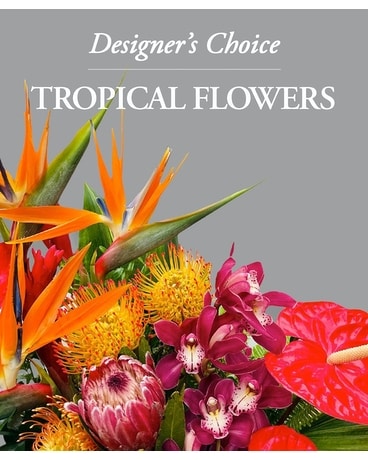 Tropical Designer's Choice Flower Arrangement