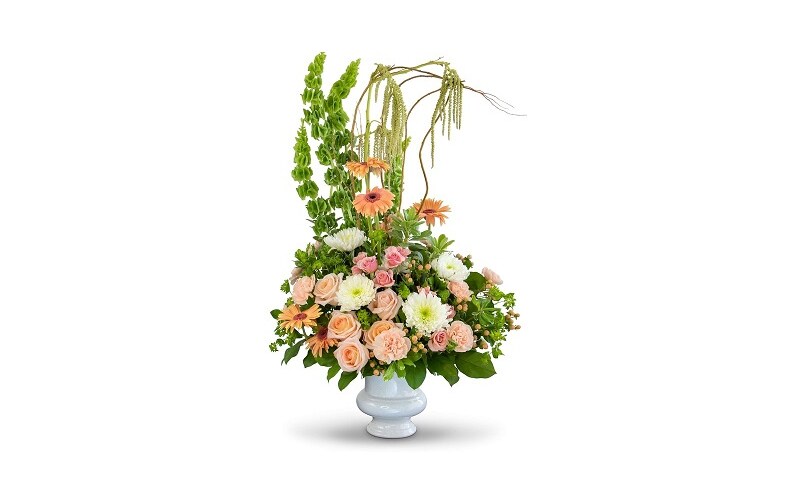 Divine Grace Sympathy Collection
