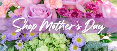 Beautiful Seasonal Flowers Banner