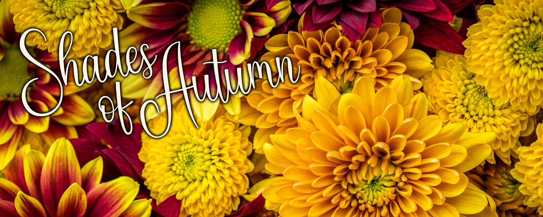 Flower Delivery to Owings Mills by Raimondi's Flowers & Fruit Baskets