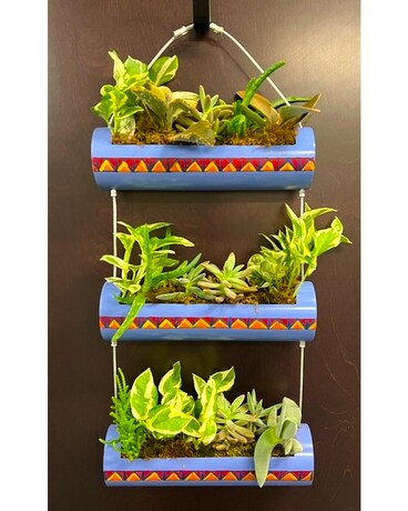 Hand-Made & Painted Succulent Planter Plant