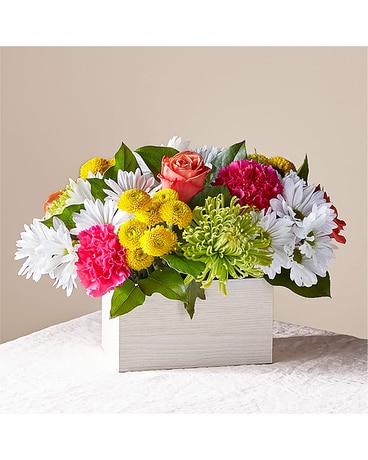 Sorbet Flower Arrangement