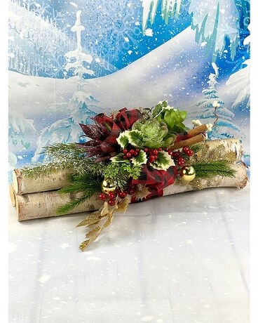 Silk Birch Succulent Centerpiece Flower Arrangement