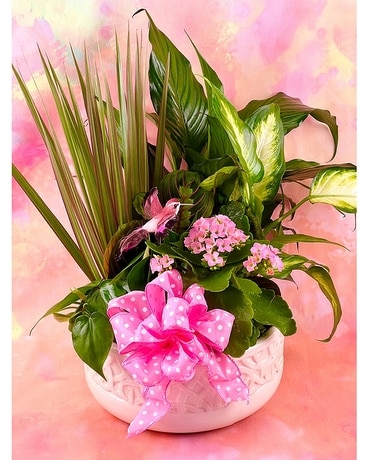 Stylish Spring Dish Garden Plant
