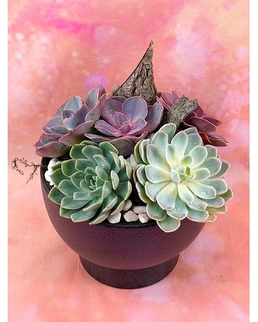 Zen Succulent Garden Flower Arrangement