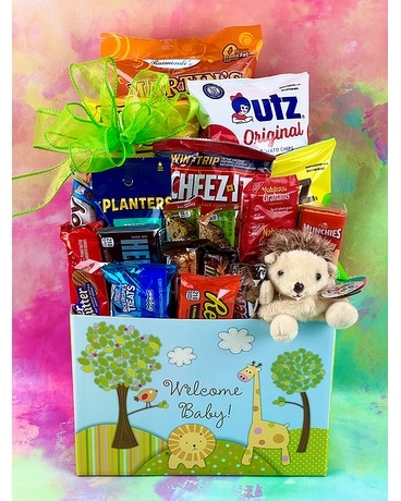 Welcome Baby Snack Box Gift Basket