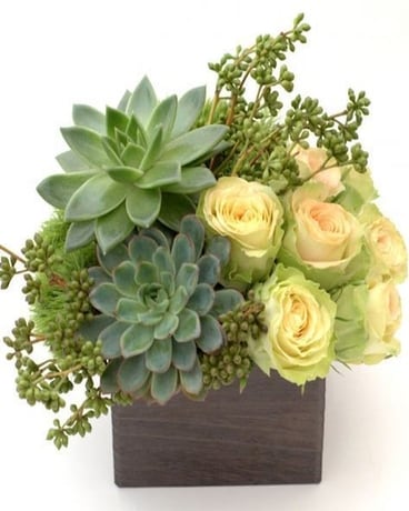 Roses & Succulents Flower Arrangement