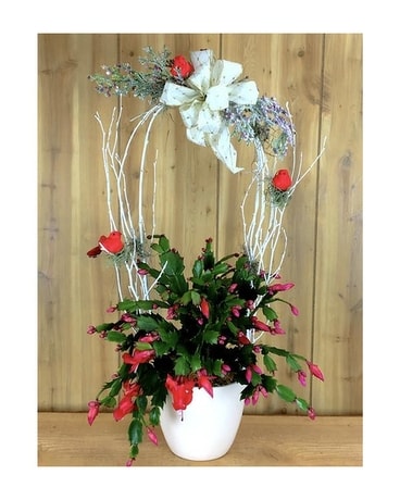 Decorated Christmas Cactus Flower Arrangement