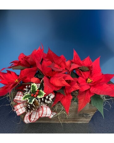 Poinsettia Box Flower Arrangement