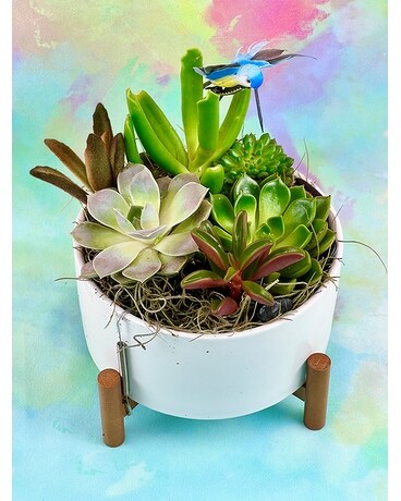 Peaceful Succulents Flower Arrangement
