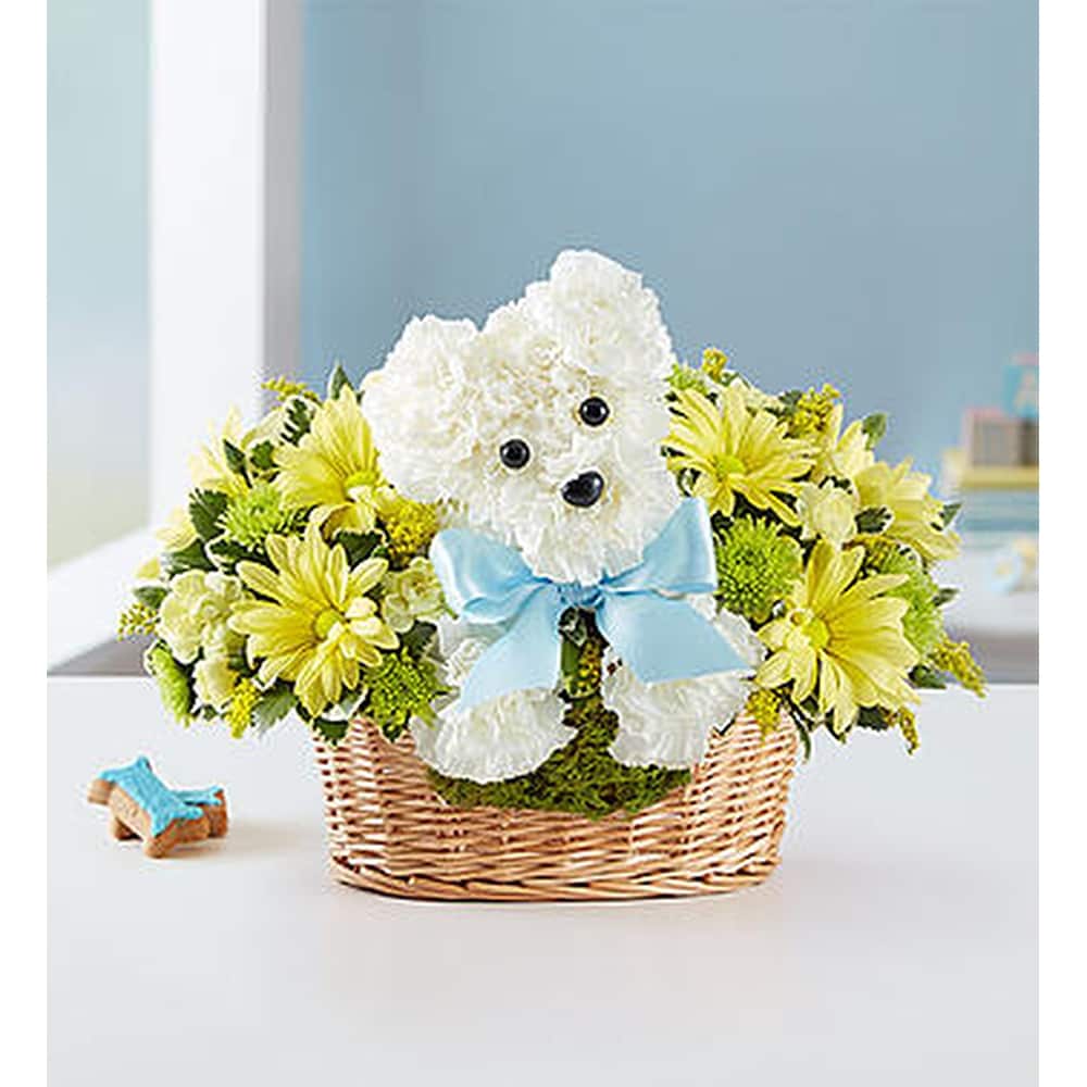 1800 flowers baby sales boy