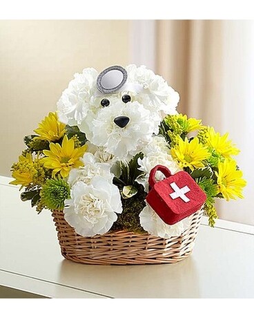 Doggie Howser-LOCAL DELIVERY ONLY