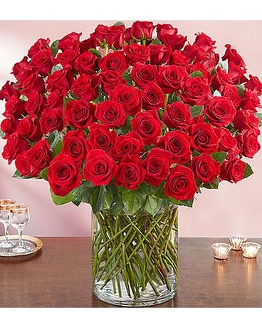 100 Long Stem Red Roses Flower Arrangement