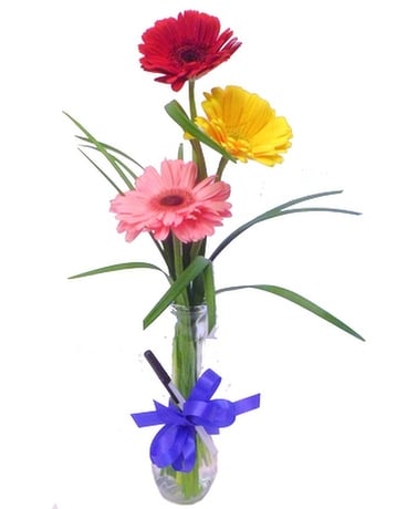 Gerbera Special Flower Arrangement