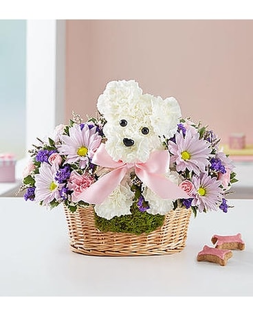 baby girl with flowers