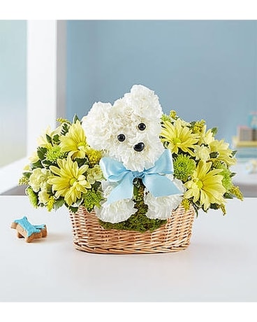 It's a-DOG-able Baby Boy - LOCAL DELIVERY ONLY Flower Arrangement