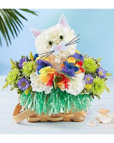 Luau Kitty by 1800flowers Flower Arrangement