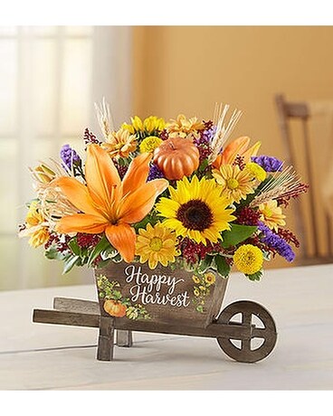 Happy Harvest Wheelbarrow Flower Arrangement