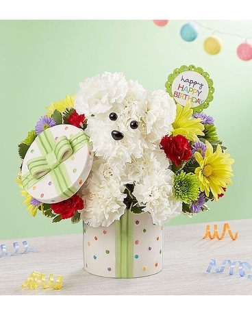 Party Pooch-LOCAL DELIVERY ONLY Flower Arrangement